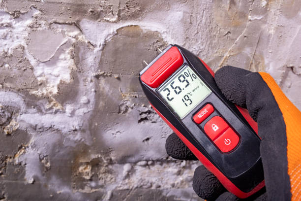 Mold Testing and Removal in Elmwood Place, OH